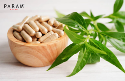 Ashwagandha Root Extract Capsules